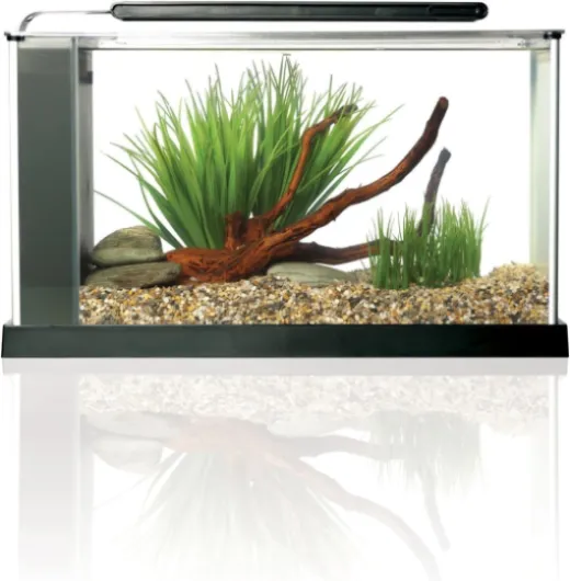 Aquarium Spec V 19 L Noir