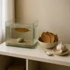 Remèdes naturels en aquarium : catappa, ail, sel, le vrai du faux