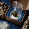 Annonces récifales : comment utiliser les communautés en ligne pour un aquarium marin responsable