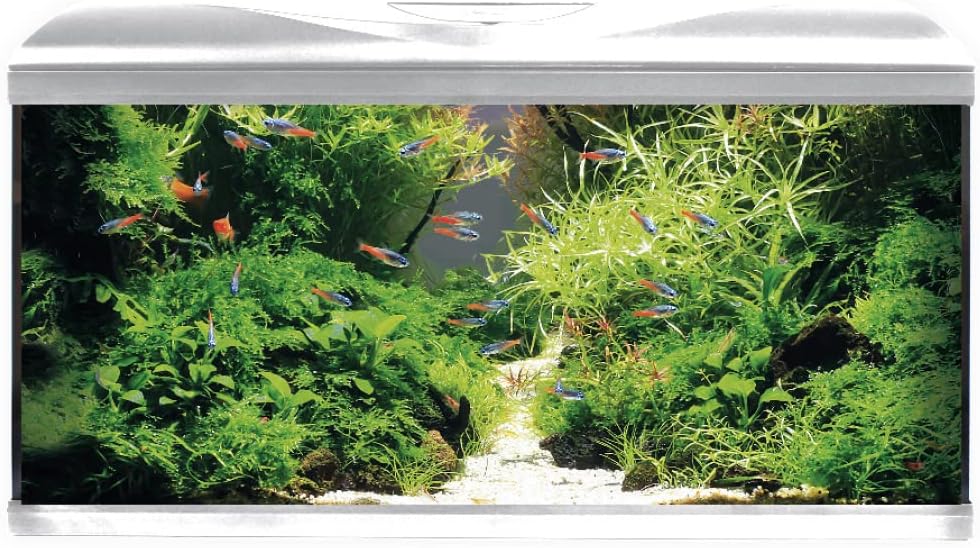 Acquario System Tank V2 - Aquarium en Verre Complet 85 L, Lumière LED 11 W et Pompe des Filtration Incluses, Eau Douce Ou Salée, Blanc, 80 x 32 x 48 cm Blanc 85 L