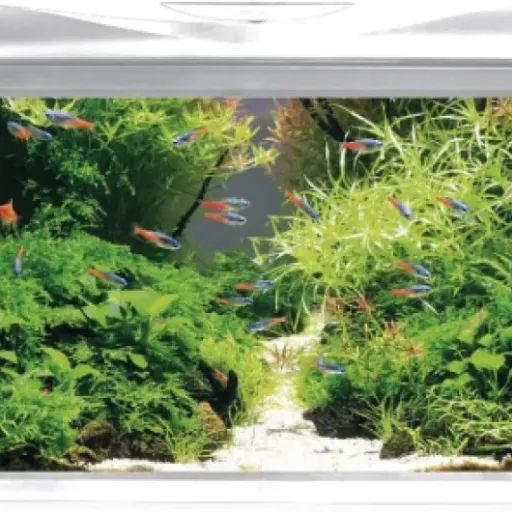 Test Amtra Acquario System Tank V2 85 L : un kit d’aquarium correct qui fait le job sans trop de fioritures