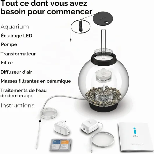 71JiMnBMTOL._AC_SL1500_