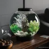 Test biOrb CLASSIC 15 LED : joli petit aquarium design, mais pas sans défauts
