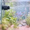 Pompe de brassage en aquarium : quand et pourquoi en ajouter une