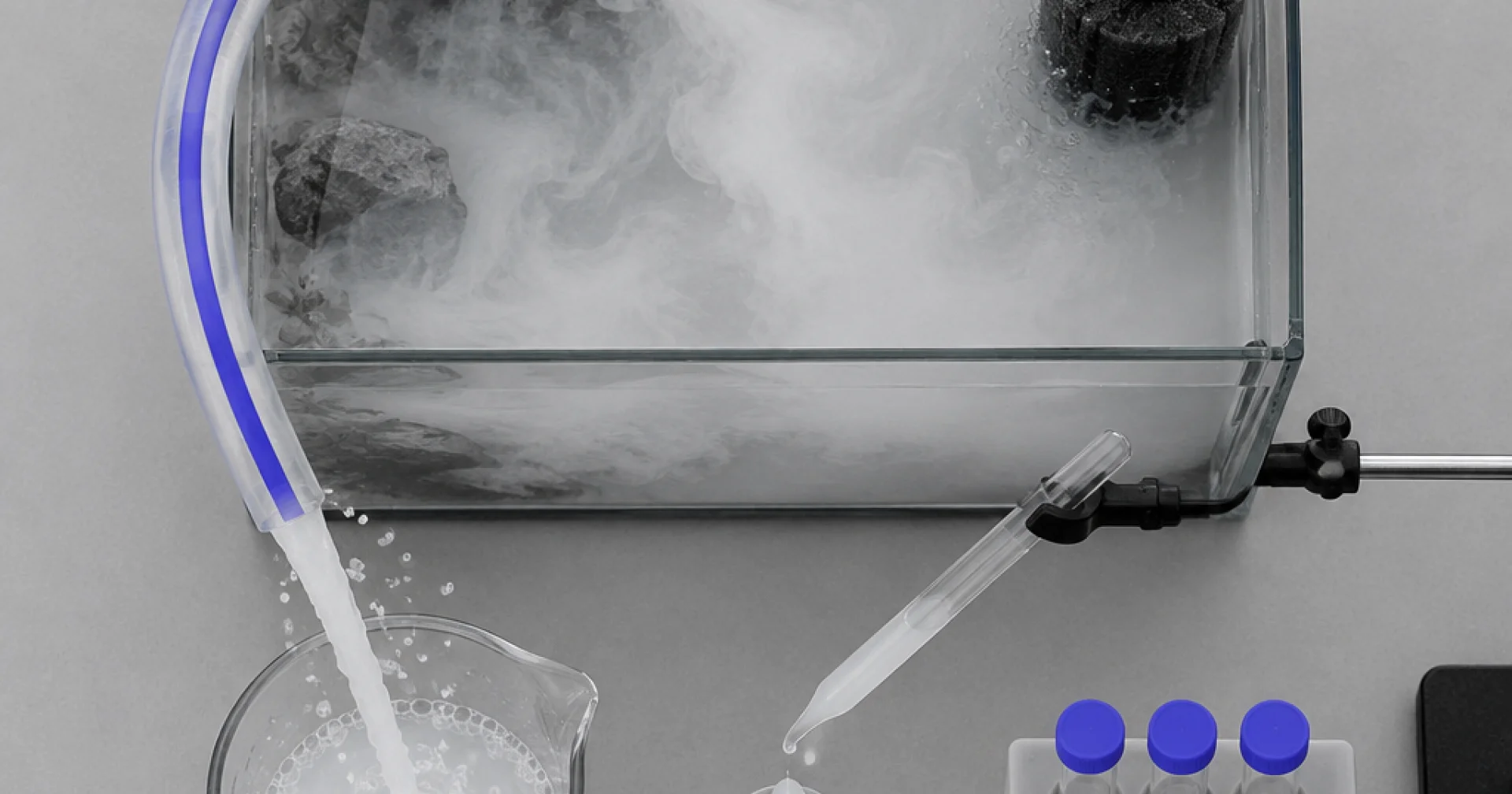 Eau blanche et laiteuse : comprendre le pic bactérien qui fait paniquer les débutants