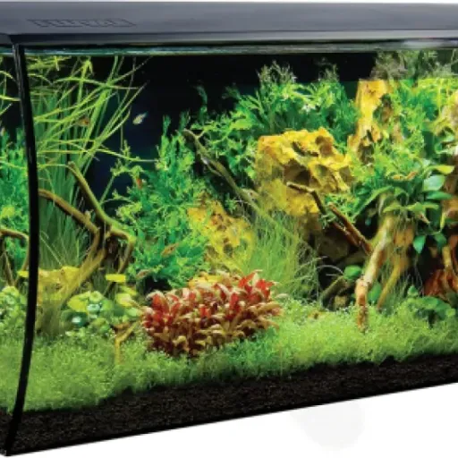 Avis Fluval Flex 123 L Noir : un aquarium design avec filtration intégrée et LED connectée