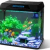 Avis Nobleza 30L : un petit aquarium complet pour débuter sans se ruiner