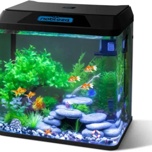 Avis Nobleza 30L : un petit aquarium complet pour débuter sans se ruiner