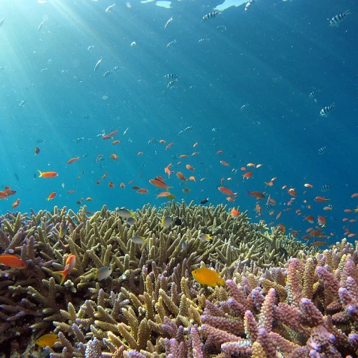 Optimiser votre aquarium avec un kit CO2