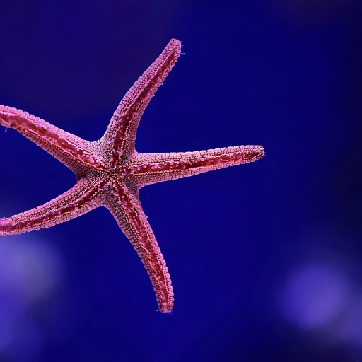 Optimiser la température de votre aquarium avec un groupe froid
