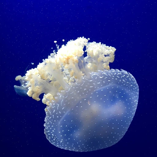 Comprendre le coût d'un poisson combattant