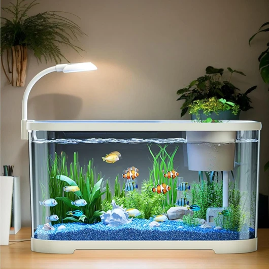 Kit Démarrage Aquarium Complet - Kit De Démarrage - Bac Poisson Combattant Débutant - Pool De Bureau Décoratif - pour Les Poissons De Combat, Les Tortues Et Les Grenouilles - 30x20x19cm Blanc