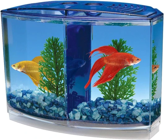 Penn-Plax Twin Betta Bow-Front Kit pour Aquarium Bleu, Vert, réservoir Mesure 19,1 cm à l'avant, 15,2 cm à l'arrière