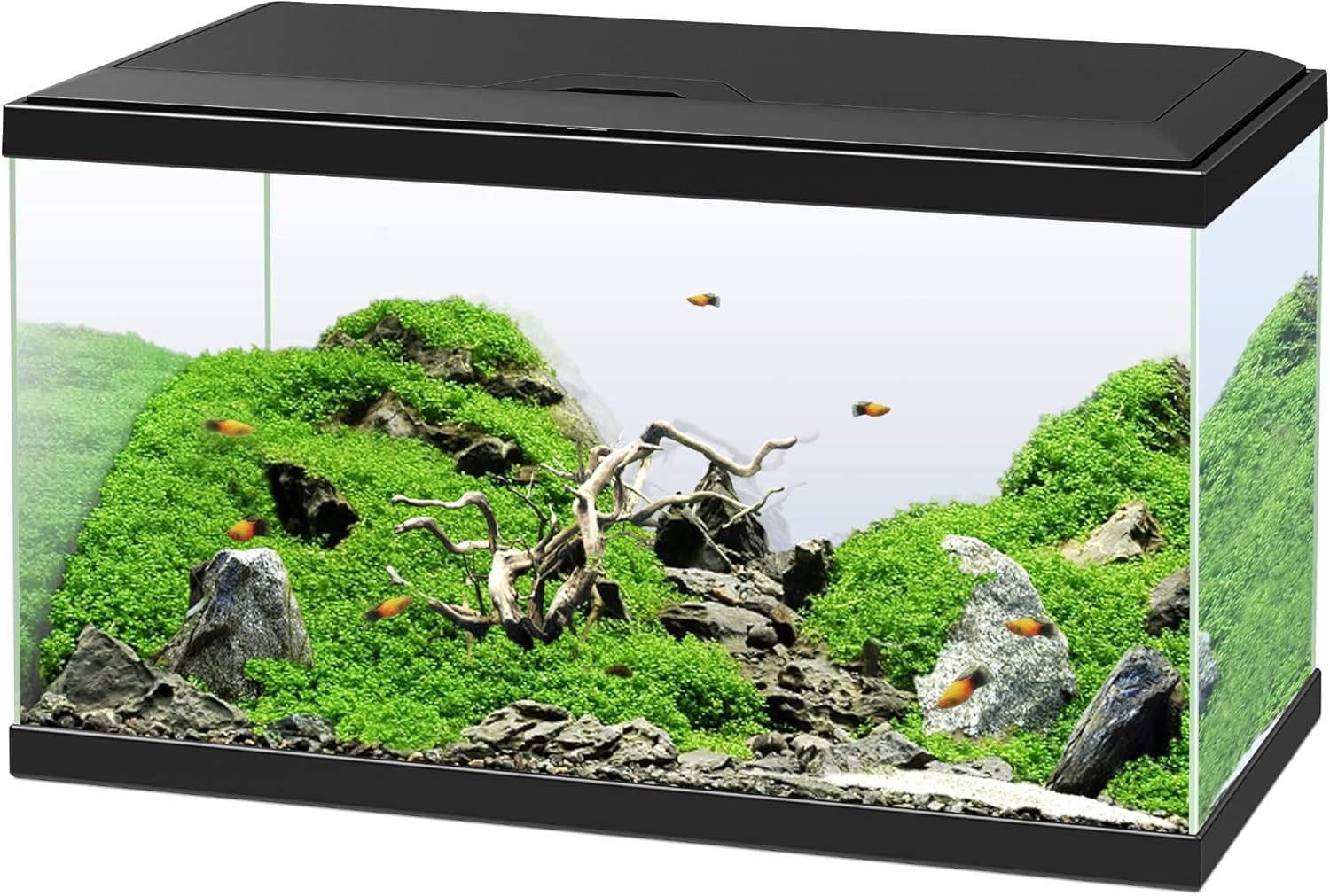 Ciano, Aquarium 60 Noir, pour Poissons, Équipé d'un Filtre, Consommables, LED et Chauffage, 58L, Emballage Renforcé pour Envoi Web
