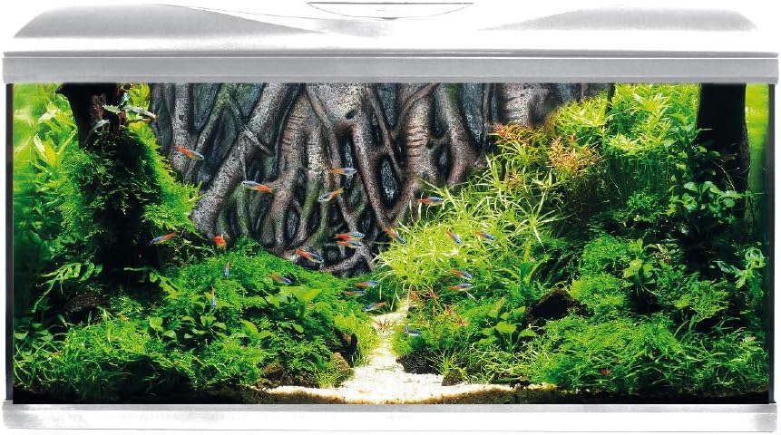 Croci Amtra System 80 LED White Fond 3D RADICE/Aquarium avec éclairage LED, Filtre et Chauffage/cm 80 x 32 x 48/85 litres