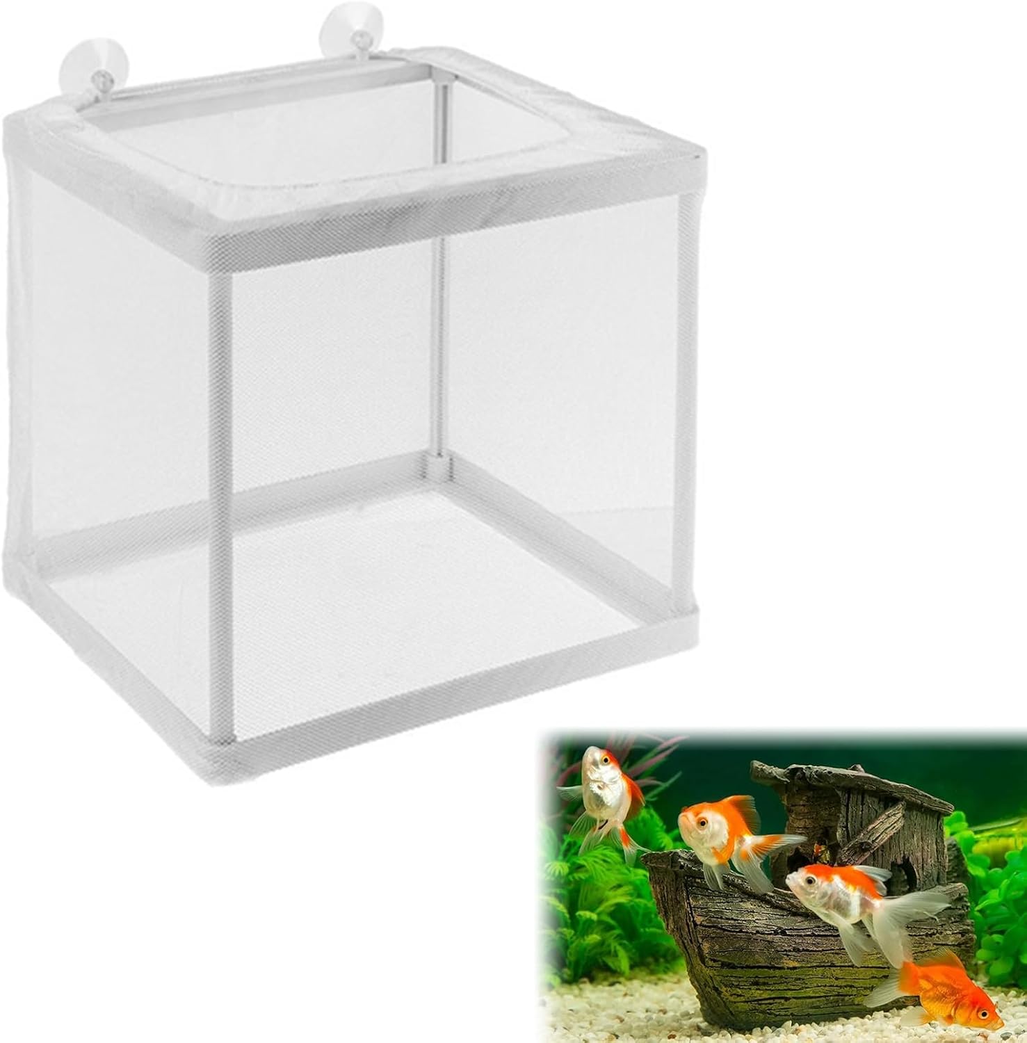 Boîte D'Élevage De Poissons, Filet D'Élevage Aquarium, Boîte D'isolation pour Aquarium, avec 4 Ventouses, Incubateur de Poissons D'aquarium pour Poisson Réservoir, 16 * 14 * 15CM