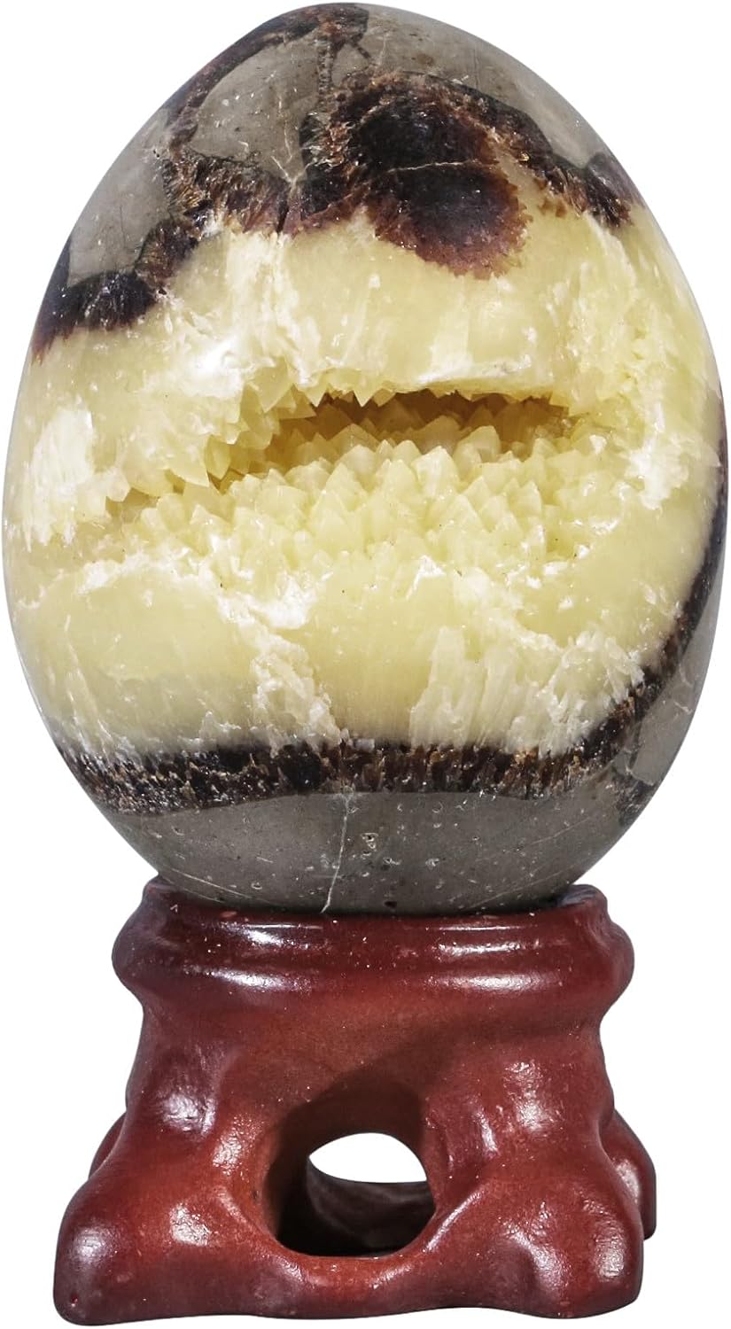 Oeuf de géode en Pierre de Dragon Septarian de guérison Reiki avec Support en résine, œuf de Cristal de Dragon septarien Noir Naturel pour la décoration de la Maison, 31-40 MM 31-40 mm Pierre de dragon septaria