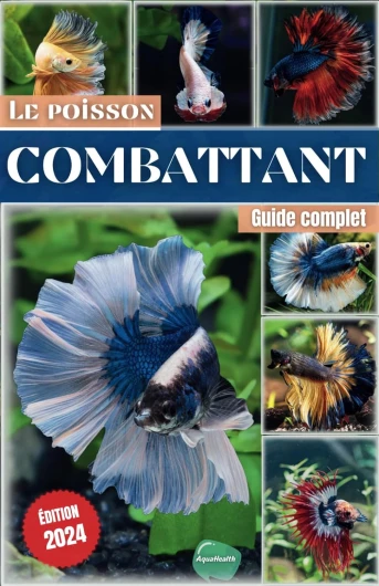 Le poisson Combattant: Guide complet pour aquariophiles débutants - Toutes les informations et conseils pour prendre soin au mieux de son aquarium et son betta.