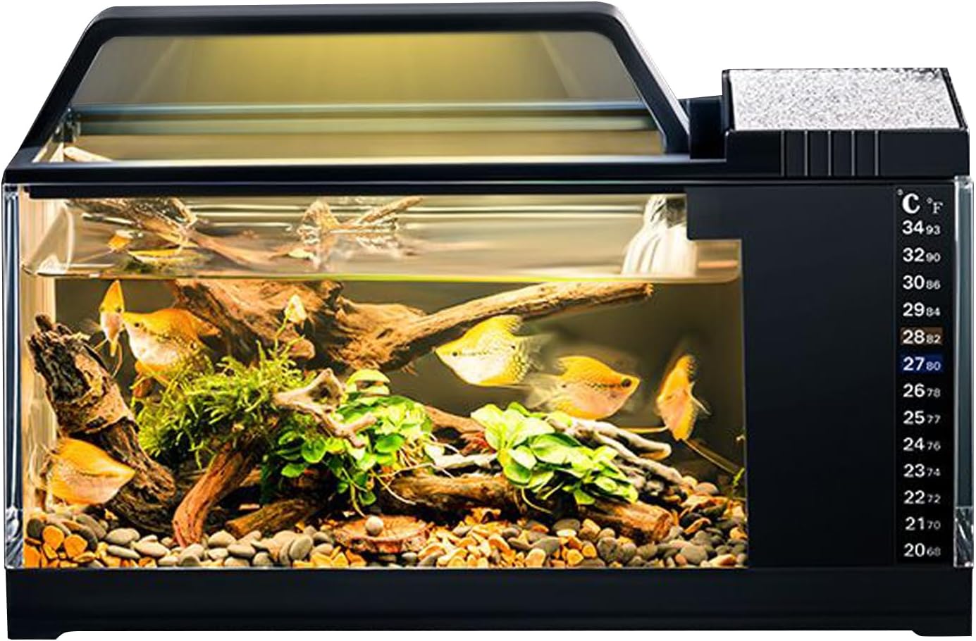 Aquarium pour Poissons Betta - Bac À Poissons avec Filtre et Éclairage Intégrés,Aquarium Équipé d'une Pompe Silencieuse et Contrôle de Température pour Bettas, Guppys et Crustacés Noir