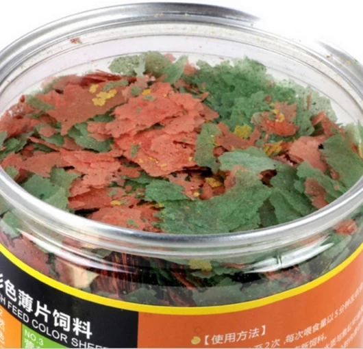 61FkJMdbZjL._AC_SL1024_