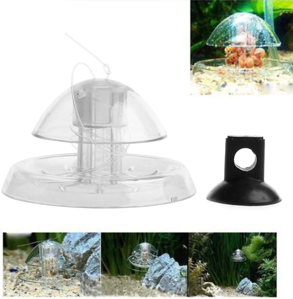 FishTanks Kit attrape-escargots transparents pour aquarium Plante artificielle