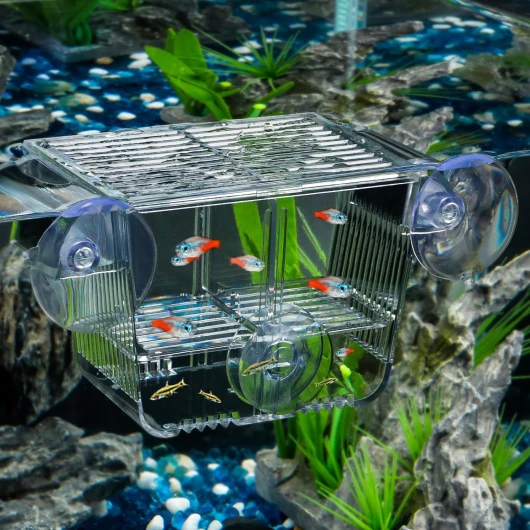 Aquarium Incubateur pour Poissons Aquarium Incubateur avec 6 ventouses Incubateur Acrylique pour bébés Poissons Crevette Betta Petite boîte d'acclimatation pour Poissons agressifs Guppy Platy S (10,7 x 6,9 x7 cm)