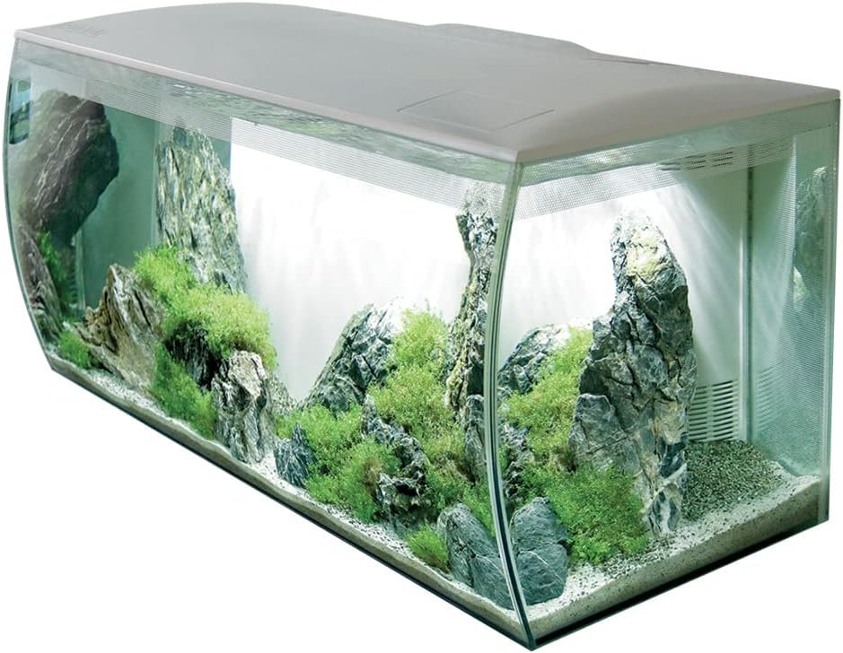 Flex Aquarium d'eau Douce 123 l Blanc