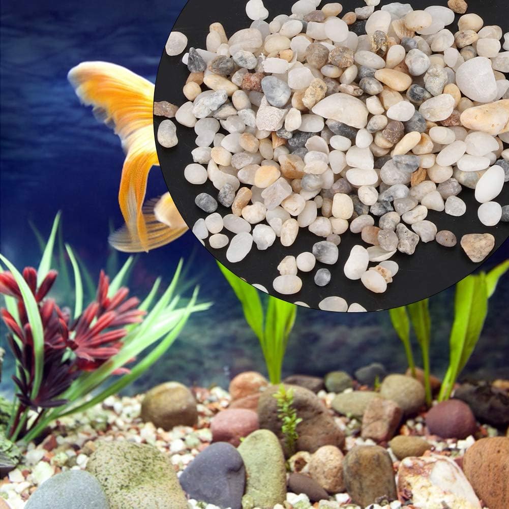 Sable d'aquarium, Gravier de Sable Naturel pour Aquarium, Aquarium pour Aquarium