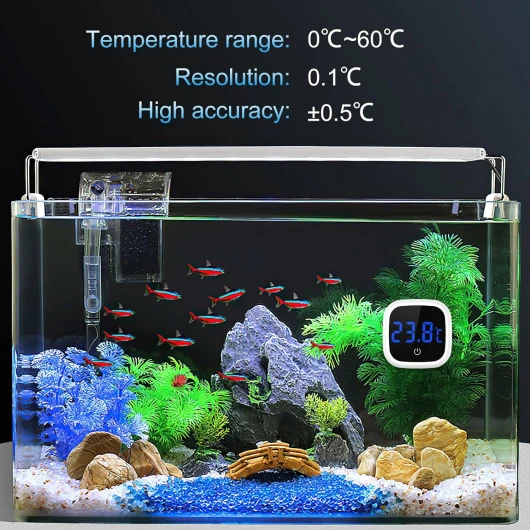 81rp2woEq5L._AC_SL1500_