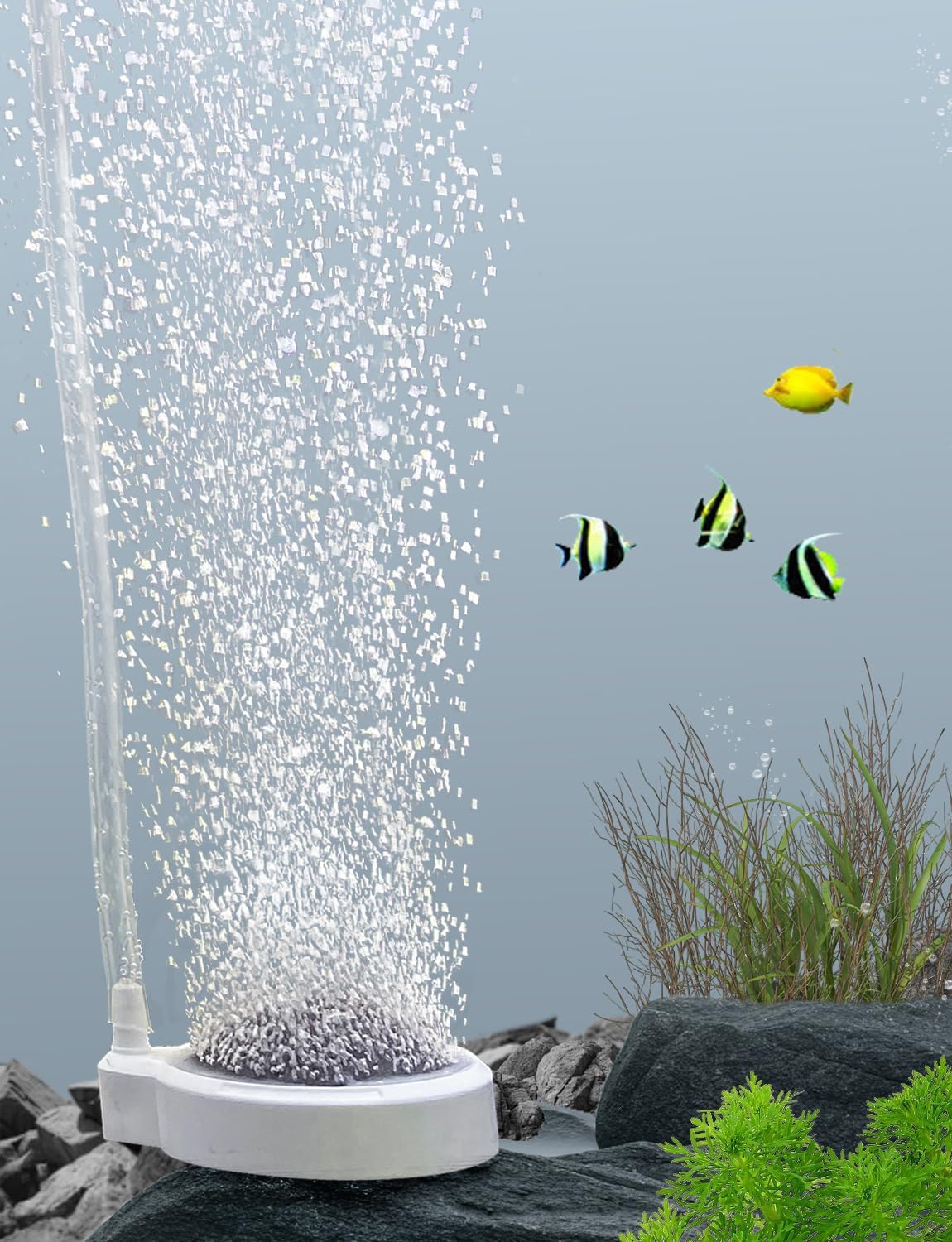 Aquarium Pierre a Air, Diffuseur d'air pour Aquariophilie, pour Silencieux Diffuseur Oxygène pour Poissons, crevettes et Plantes hydroponiques (50mm, Pompe à air et Tuyau d'air Non Inclus)