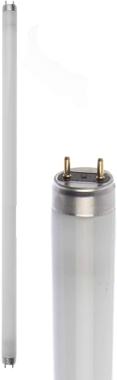 Active DayWhite – Lampe (G13, Blanc, b)