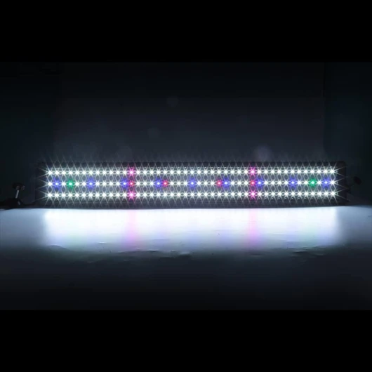 51UZ21NB9iL._AC_SL1000_