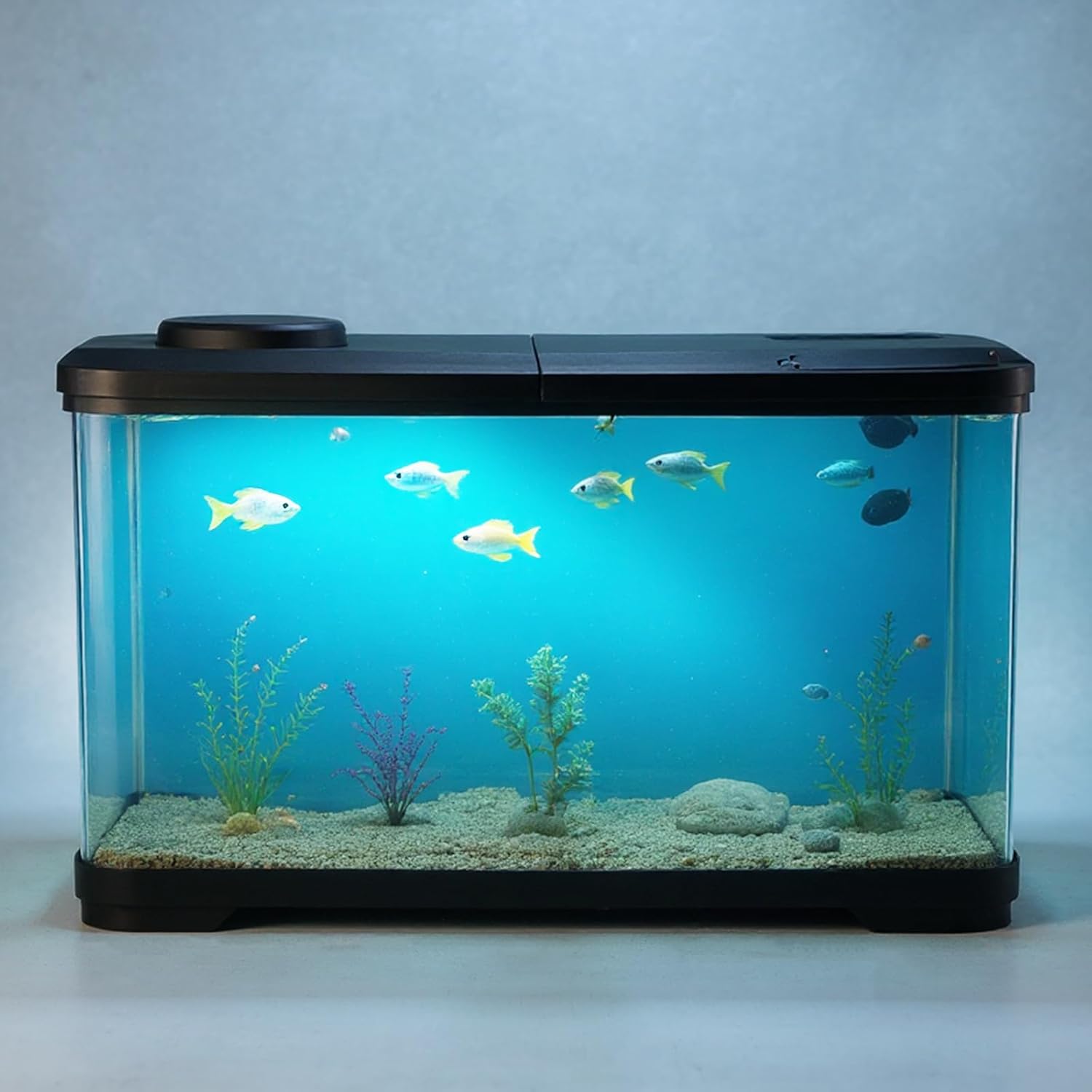 PortoAlegre Aquarium complet - Rectangulaire - Avec couvercle LED - 50 l - Décoration acrylique - Pour poissons et plantes aquatiques 50l