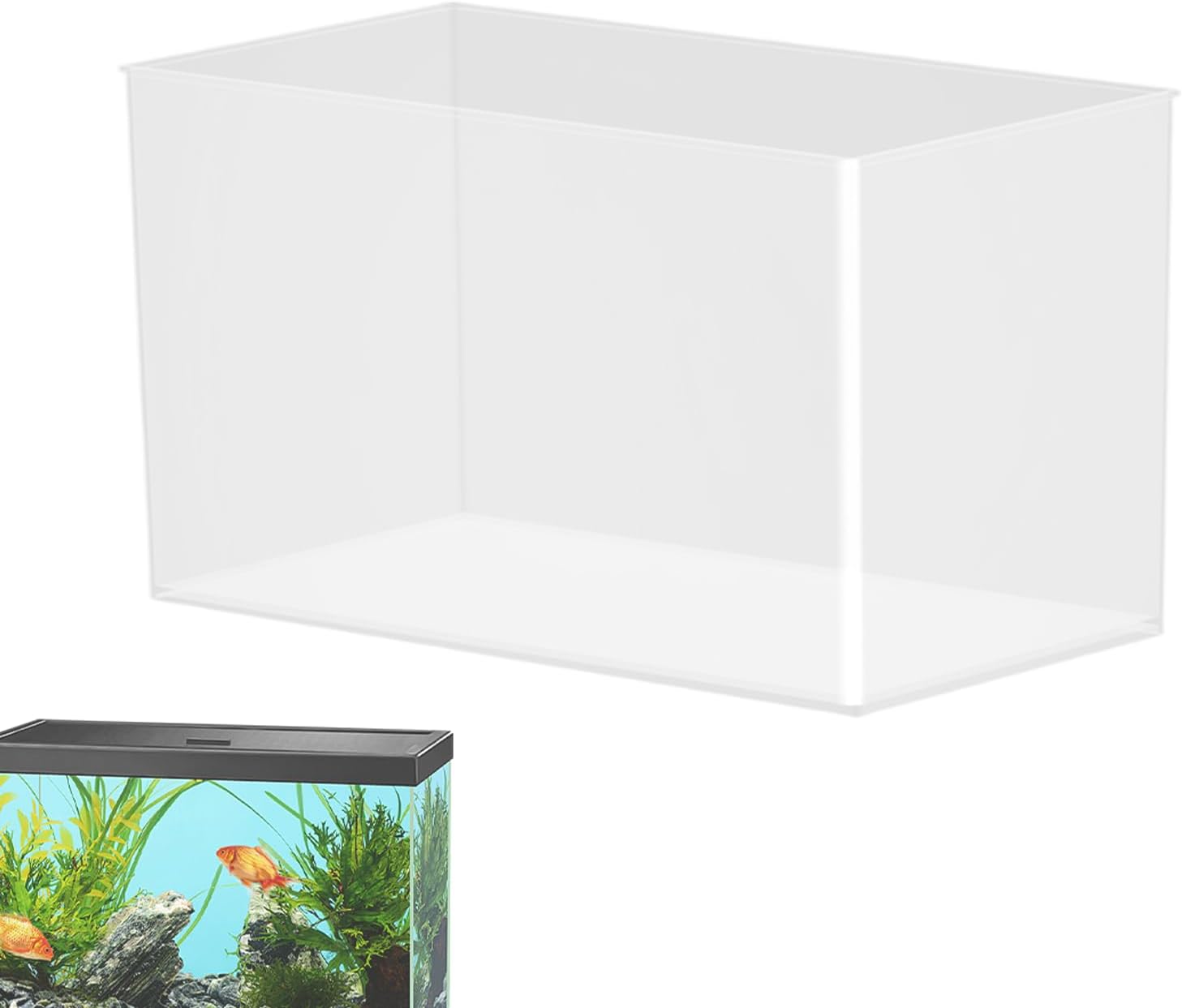 Betta Aquarium transparent sans cadre pour crevettes, crabes, araignées, décoration pour la maison et le bureau