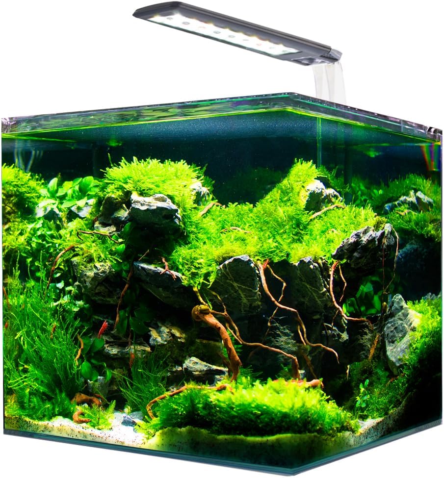 Nanotank, Aquarium en Verre Equipé LED et Pompe, 20L, Dimensions 25 x 25 x 30 cm Blanche,Bleue 20 L
