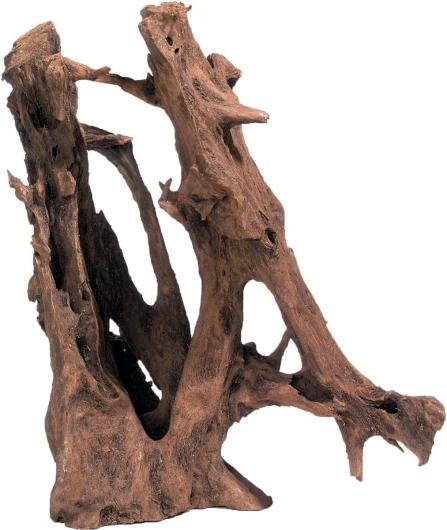 Flamingo Décoration Naturelle Mangrove - Racine de Mangrove Brune - M - 20-38CM