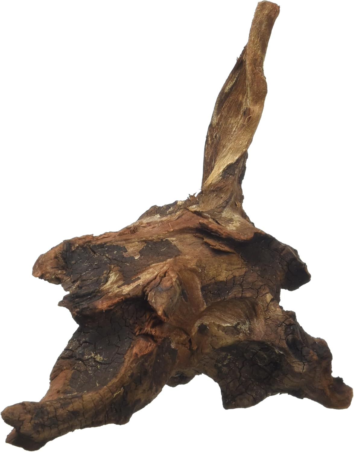 Mystic Bois pour Aquariophilie 15-20 cm 15-20 cm (Lot de 1)