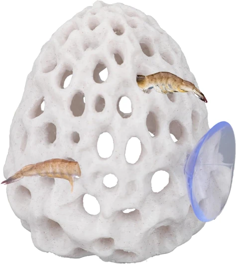 Dôme Crevette, Cachette Crevettes Aquarium avec Ventouse Jouet pour Aquarium Accessoires pour Poissons Betta Cachette Poissons Guppys (Blanc)