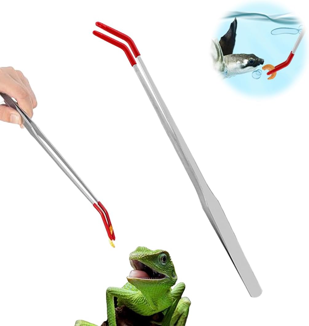 COYUN Pince à épiler pour Aquarium,Pince Aquarium Longue Courbé 27cm, Aquascaping, Terrarium Plante Aquarium Vivante - pour Reptiles - pour Plantes, lézards, araignées, Serpents