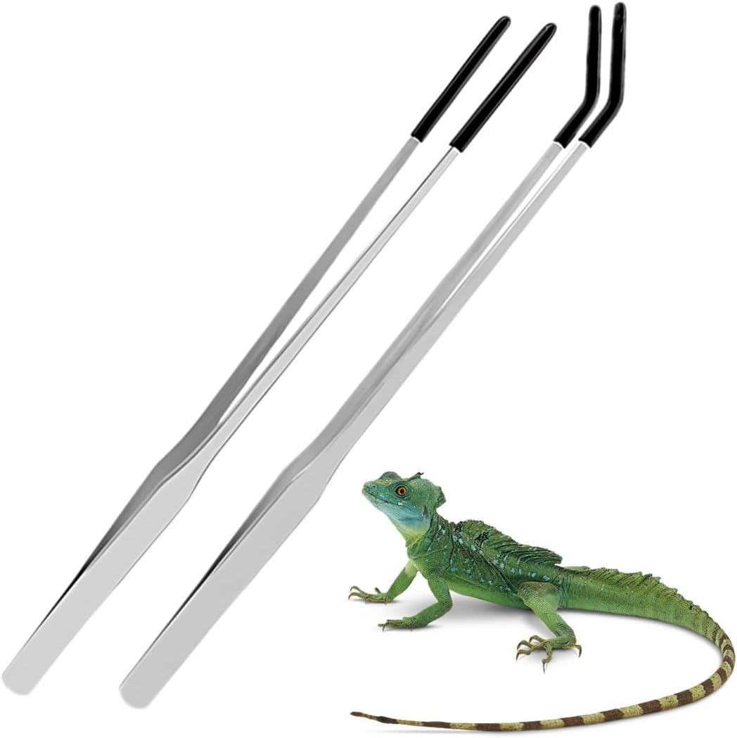Lot de 2 pinces d'alimentation extra longues en acier inoxydable avec pointe en caoutchouc,droites et incurvées,outil d'alimentation pour terrarium et reptile,pince aquarium,27 cm