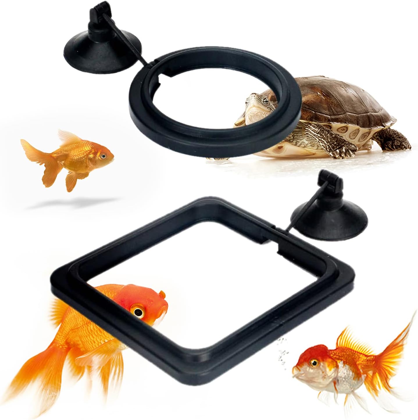 XPOOP Anneau d'alimentation pour Poissons, L'alimentation des Poissons d'Aquarium Anneau, Anneau d'alimentation pour Aquarium, Aquarium Fish Anneaux de Nourriture, Fish Feed Safe Feeder avec Ventouse