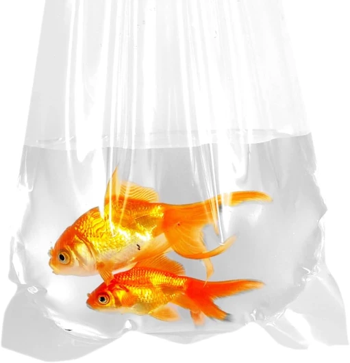 AlfaEx Lot de 10 sacs de pêche étanches en plastique transparent à fond arrondi pour le transport de poissons tropicaux et marins, calibre 225, 30,5 x 61 cm
