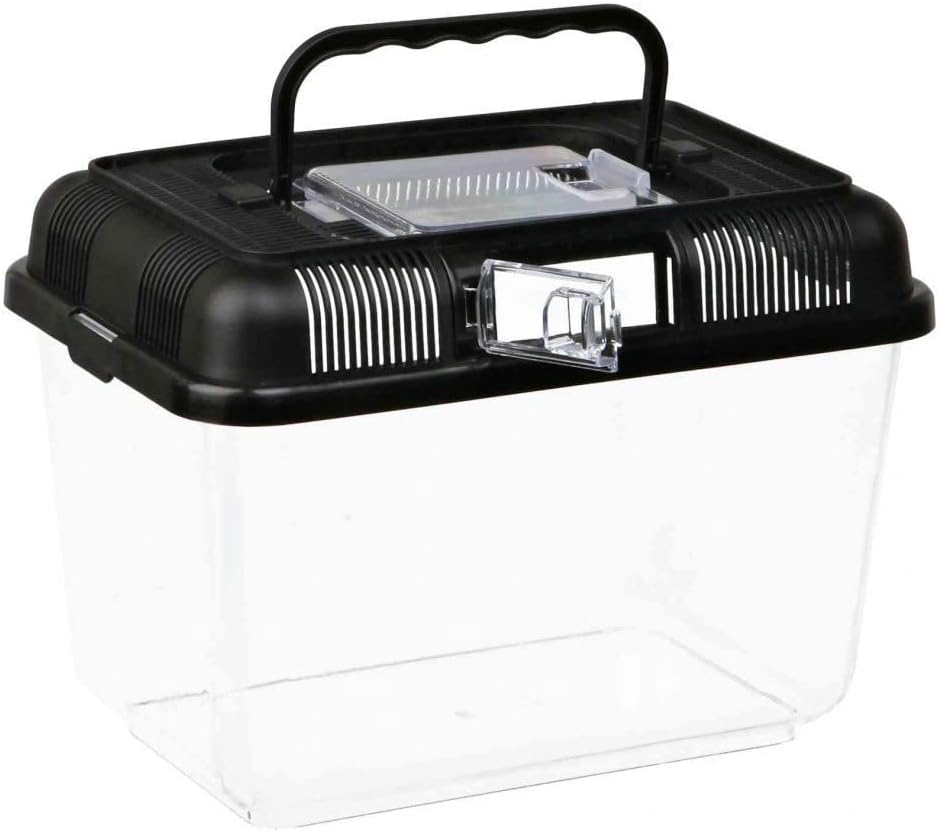 Plastique Boîte transport et d'élevage, 24 × 17 × 16 cm, couleur aléatoire divers 24 x 17 x 16 cm