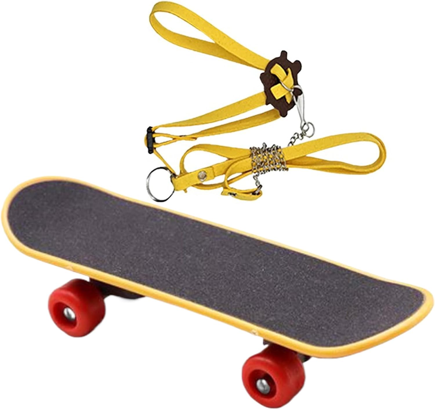 Aquarium Tortue en Verre avec Plateforme de Basking - Terrarium Fournitures pour Tortue, Reptile, Grenouille, Écrevisse, Habitat & Alimentation