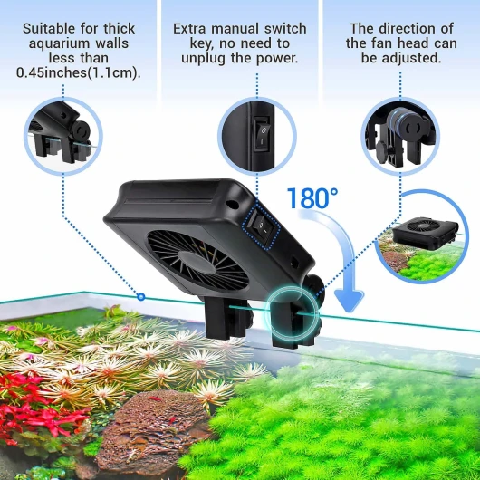 81UZAbaWCXL._AC_SL1500_