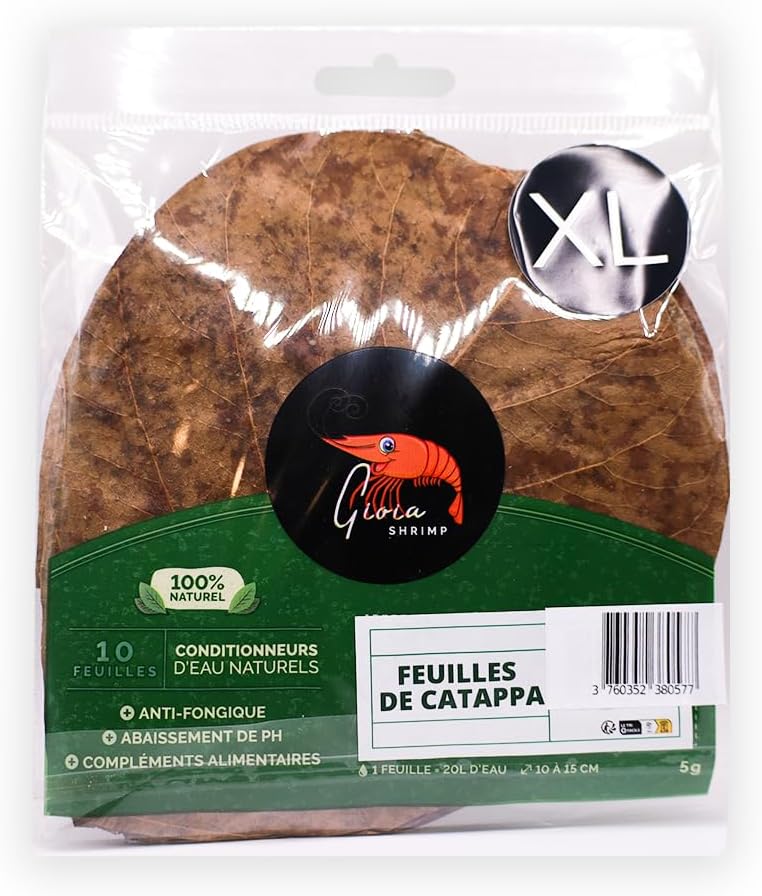 Feuilles de catappa XL (15-20cm) / Conditionneur d'eau Naturel/Poissons/Crevettes d'aquarium
