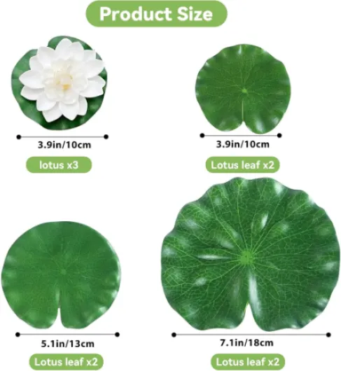 71-nDN0ezZL._AC_SL1500_