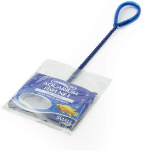 511emAdR96L._AC_SL1000_