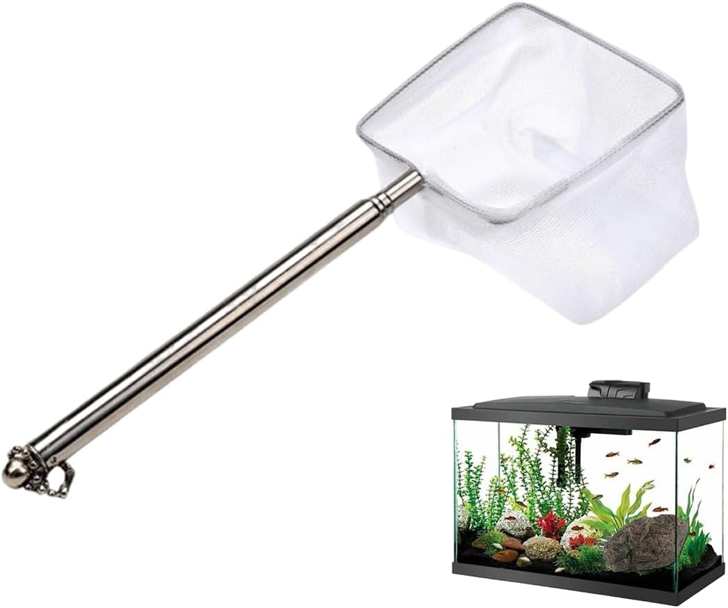 WUSJCOF Mini épuisette pour aquarium avec manche extensible en acier inoxydable, mailles fines carrées souples pour aquariums et petits bassins (8 cm)