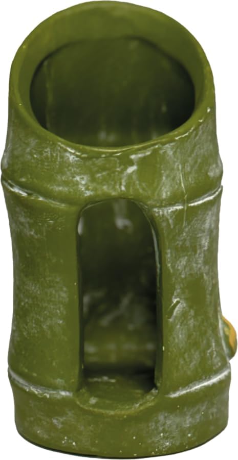 Superfish Décoration Bambou Vert pour Aquarium, Style Naturel (Taille S)